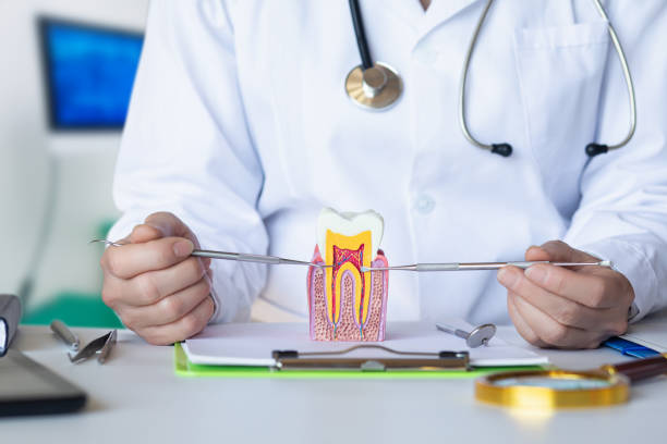 Best Urgent Dental Care for Toothache in Rock Hill, MO